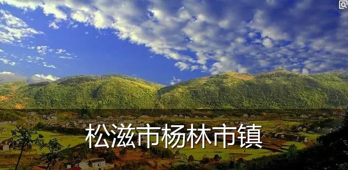 松滋市杨林市镇