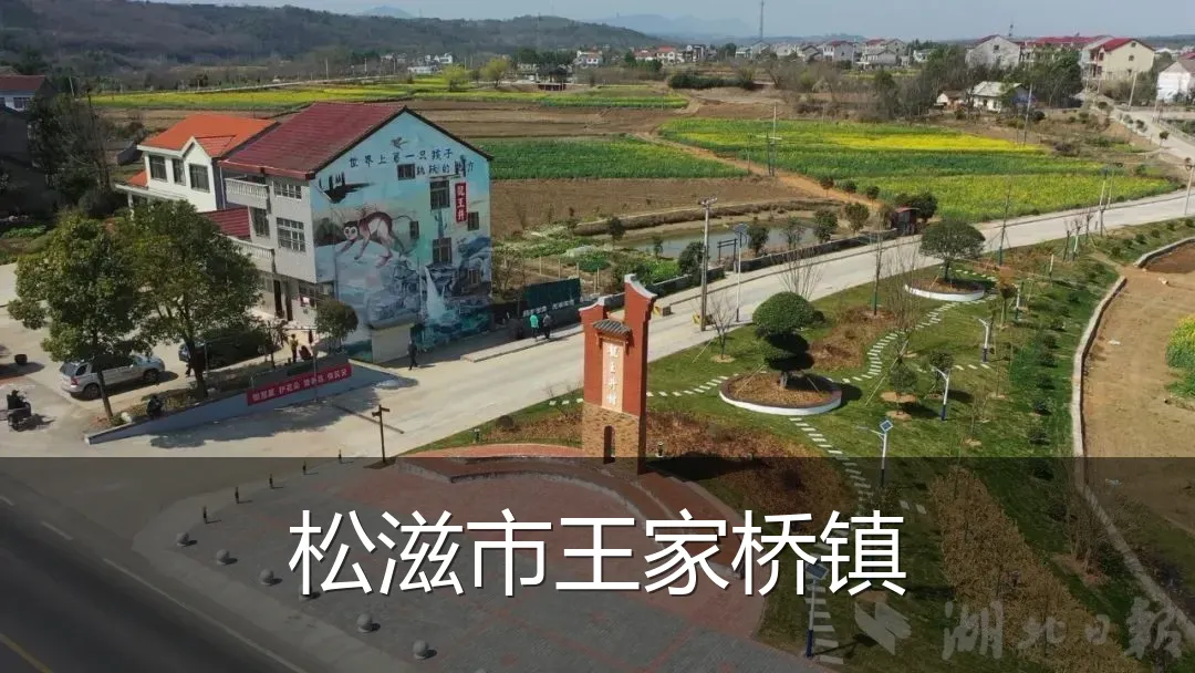 松滋市王家桥镇